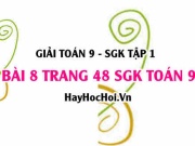 Giải bài 8 trang 48 SGK Toán 9 tập 1